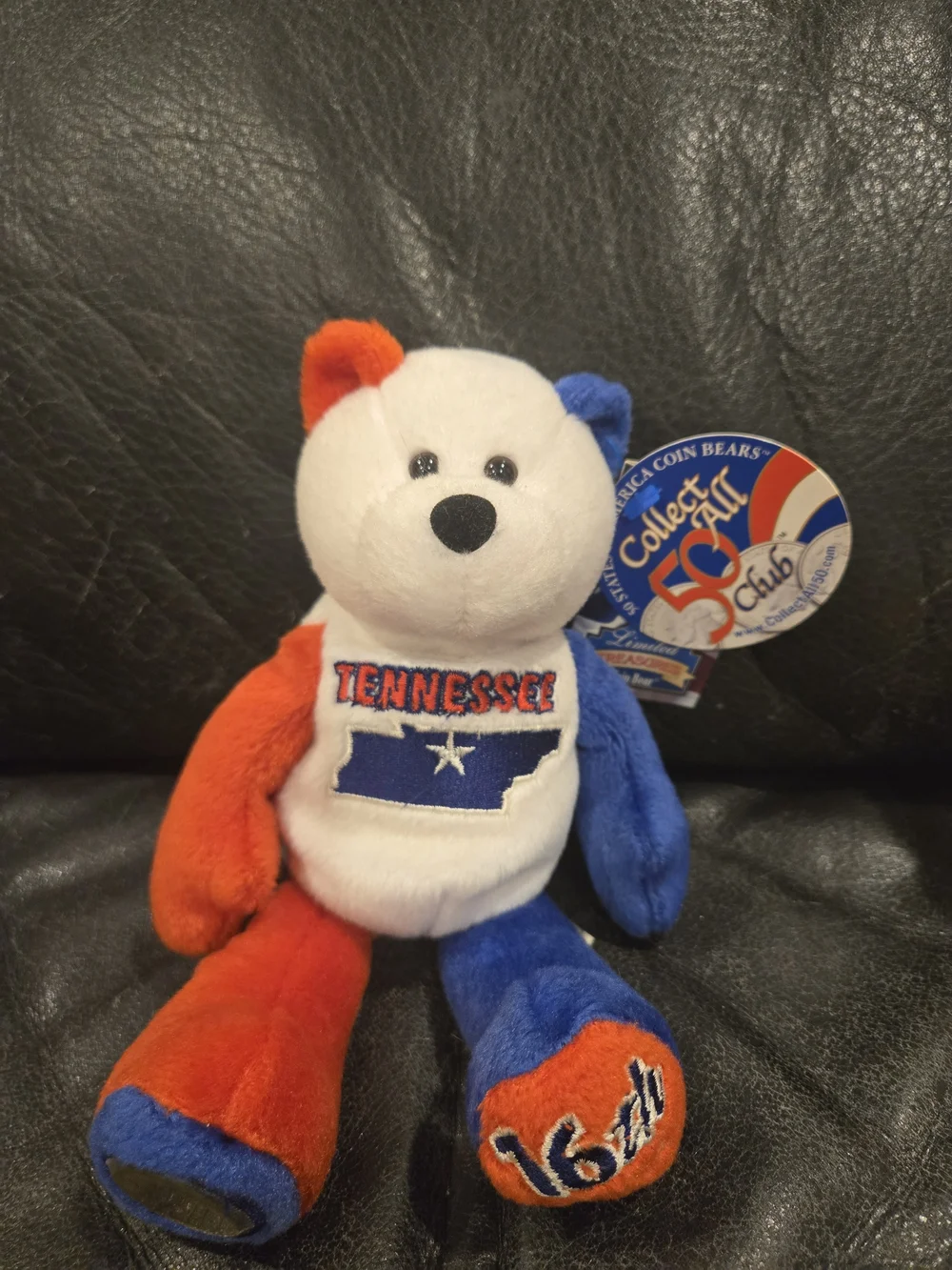 Limited Edition State Quarter Coin Bears – Collectible Plush- Like New - Picture 2 of 12